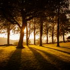 sunrise at castle ruins Arnsberg