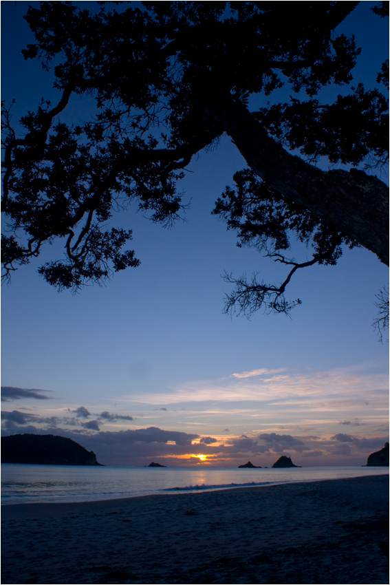 Sunrise at Cathedral Cove Beach | New Zealand