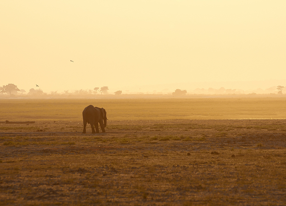 Sunrise at Chobe