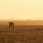 Sunrise at Chobe