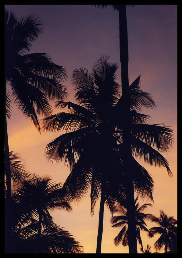 Sunrise at Koh Samui