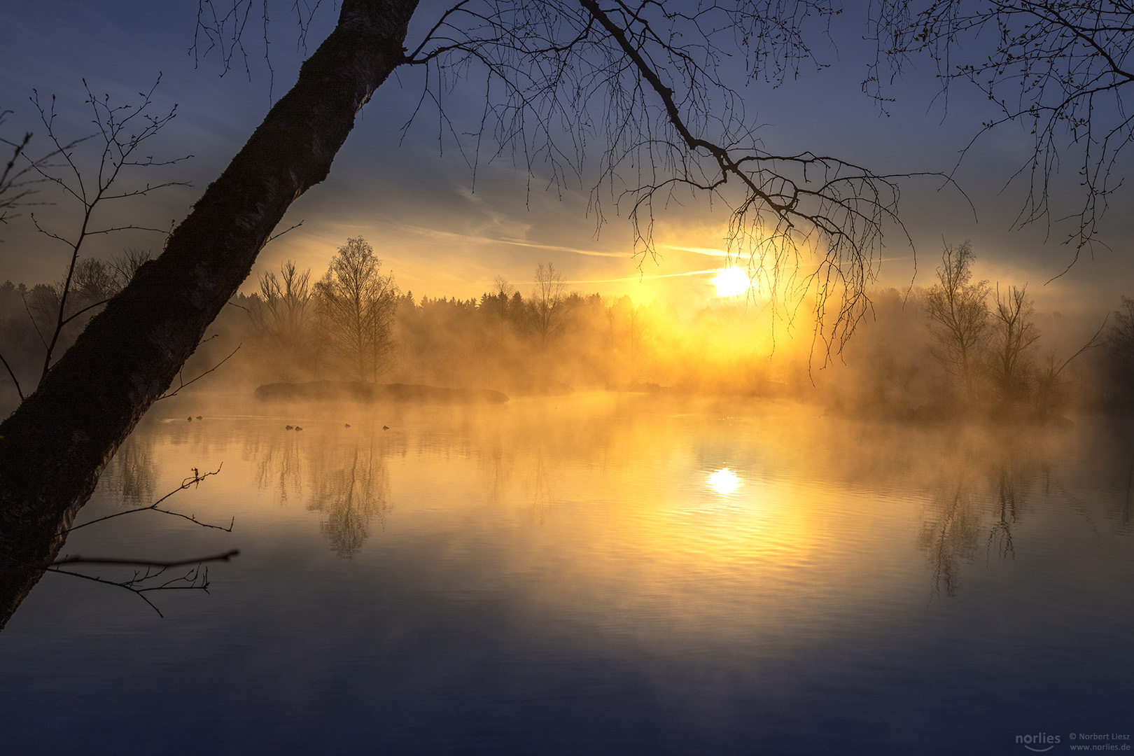 Sunrise at lake