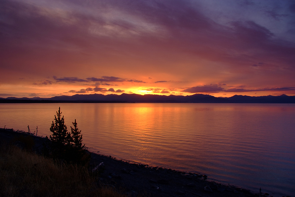 +++ Sunrise at Lake Yellowstone +++