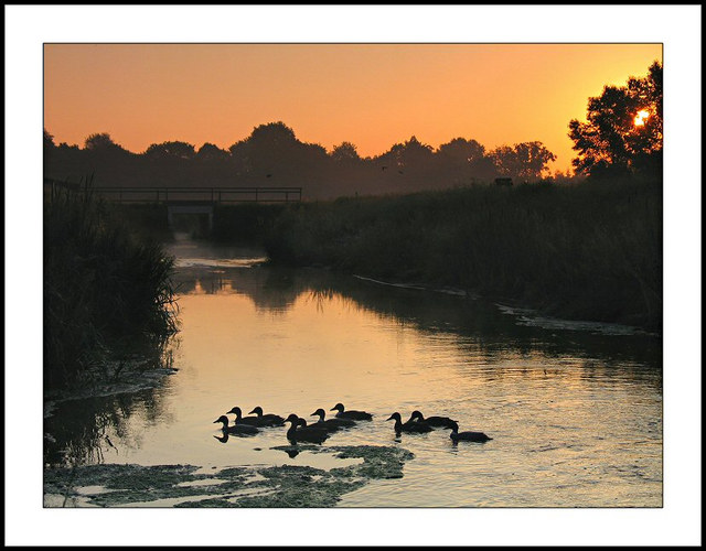 Sunrise at Markdal (Breda, NL)