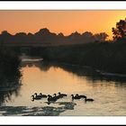 Sunrise at Markdal (Breda, NL)