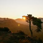 Sunrise at Palatinate Forest