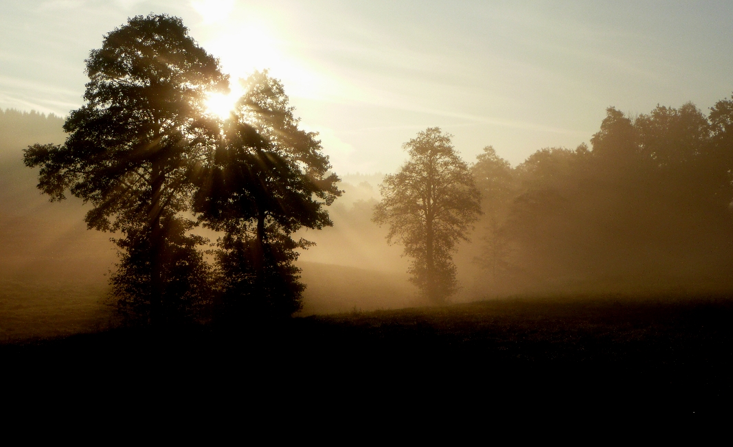 sunrise at paradise-valley