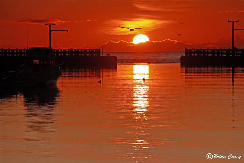 Sunrise at Petty Harbour