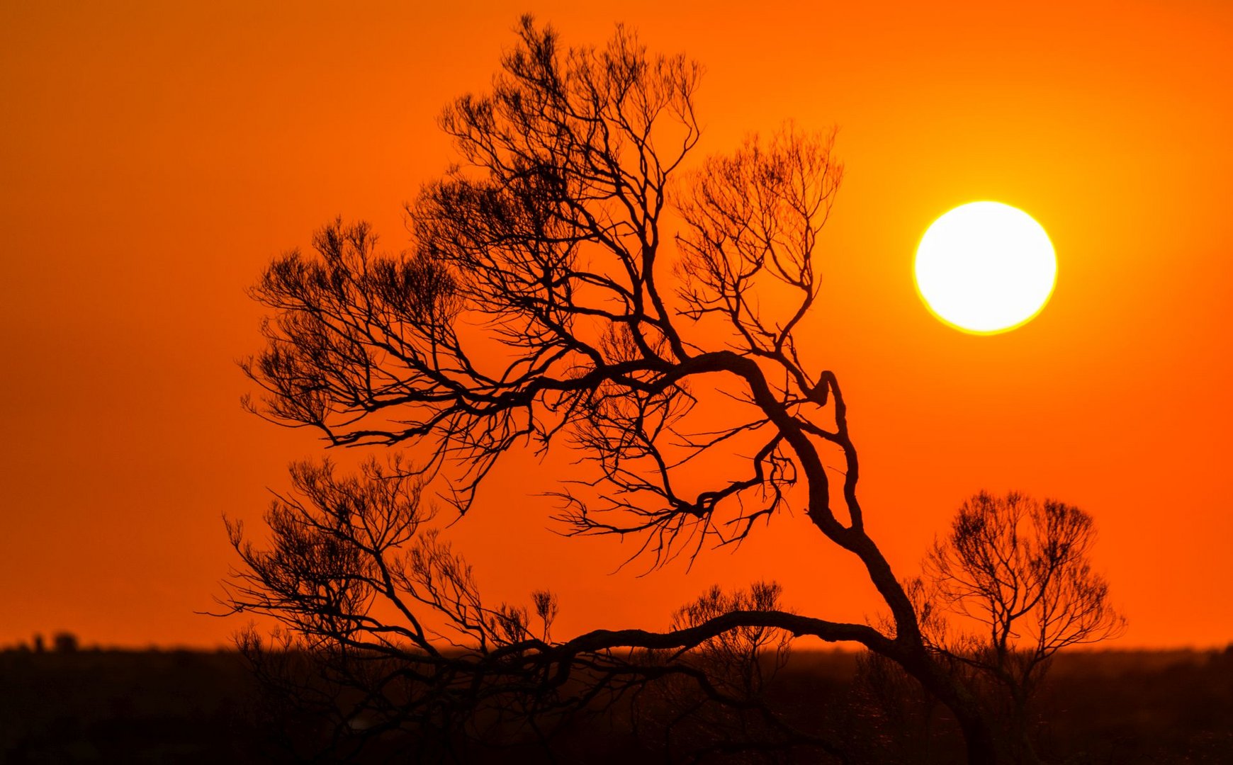 Sunrise at Red Centre