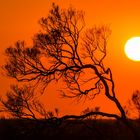 Sunrise at Red Centre