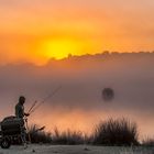 Sunrise at Richmond Park