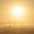 Sunrise at sossusvlei, Namibia, Africa