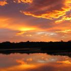 sunrise at Tarnos in the southwest of France