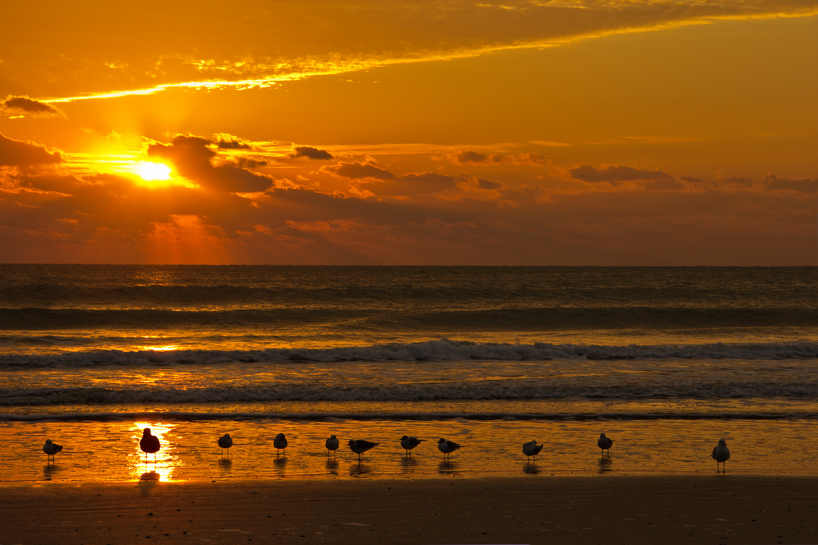 Sunrise At The Beach