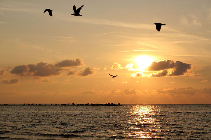 Sunrise at the Black Sea