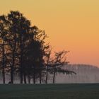 Sunrise at the Edge of the Woods