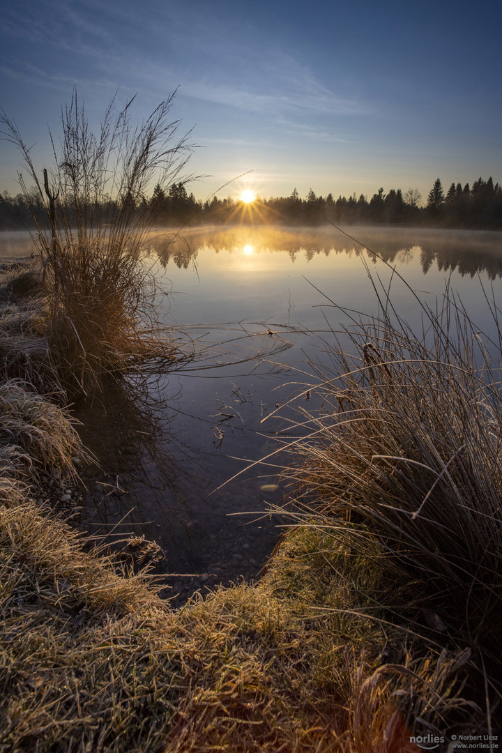 sunrise at the lake