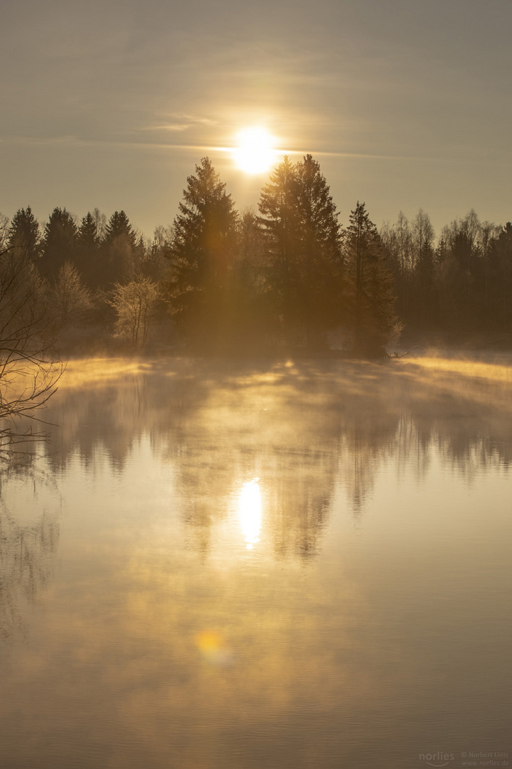 Sunrise at the lake