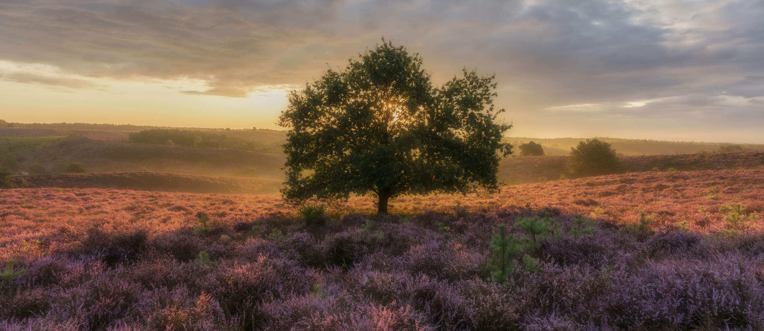 Sunrise at the Netherlands