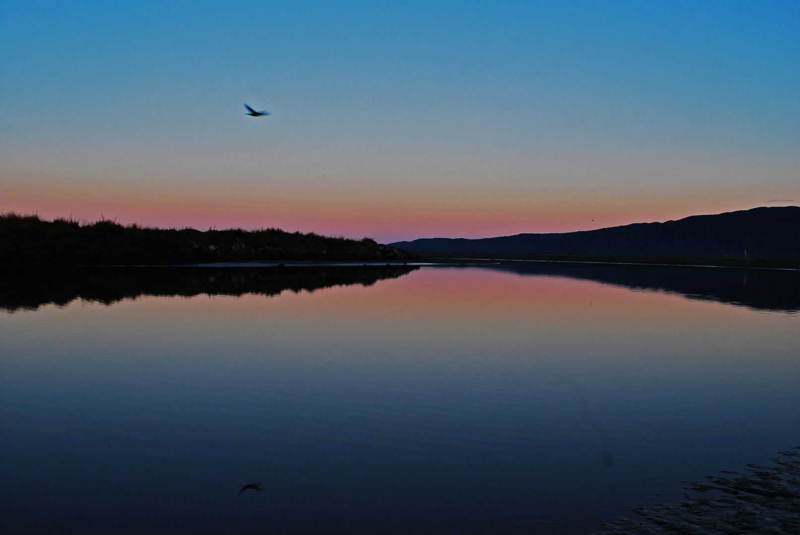 Sunrise at Waikanae Lagoon