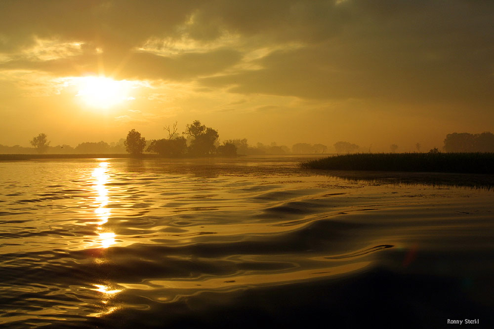 sunrise at yellowwater (kakadu np)