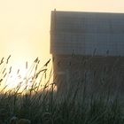 sunrise, barn, grass and spider webs