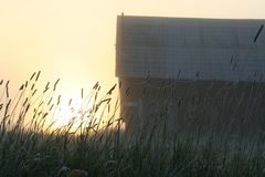 sunrise, barn, grass and spider webs