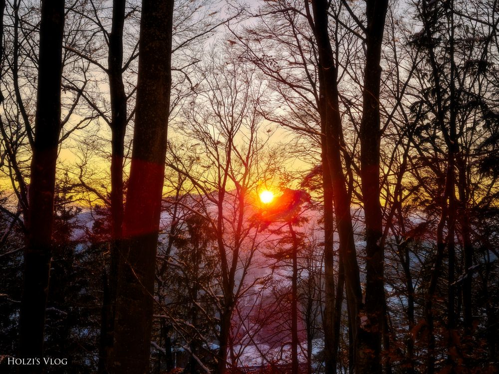 Sunrise behind the Forest