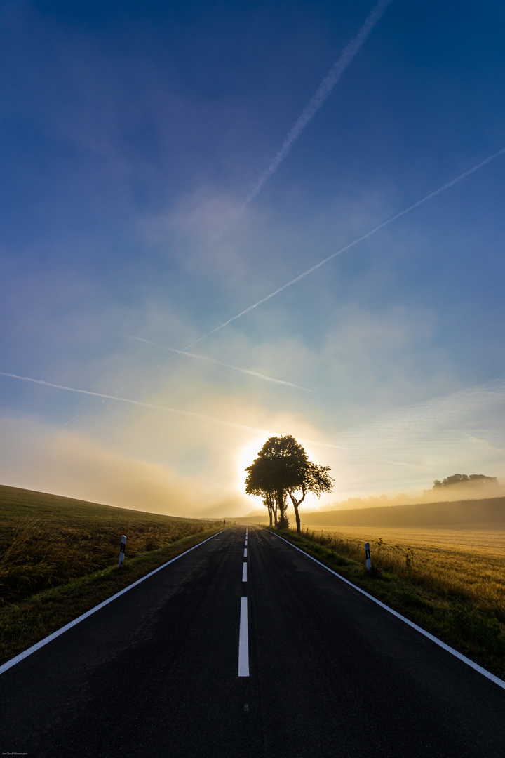 Sunrise behind the trees