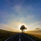 Sunrise behind the trees