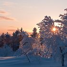 Sunrise bei Inari II