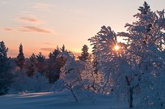 Sunrise bei Inari II