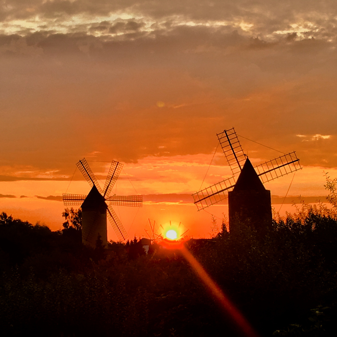 Sunrise between the mills