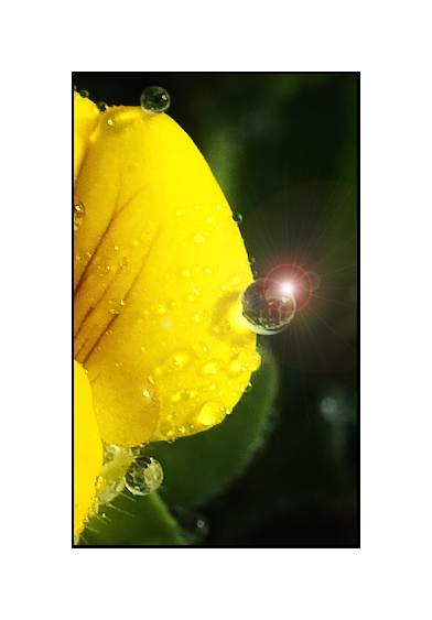 sunrise beyond the water drop