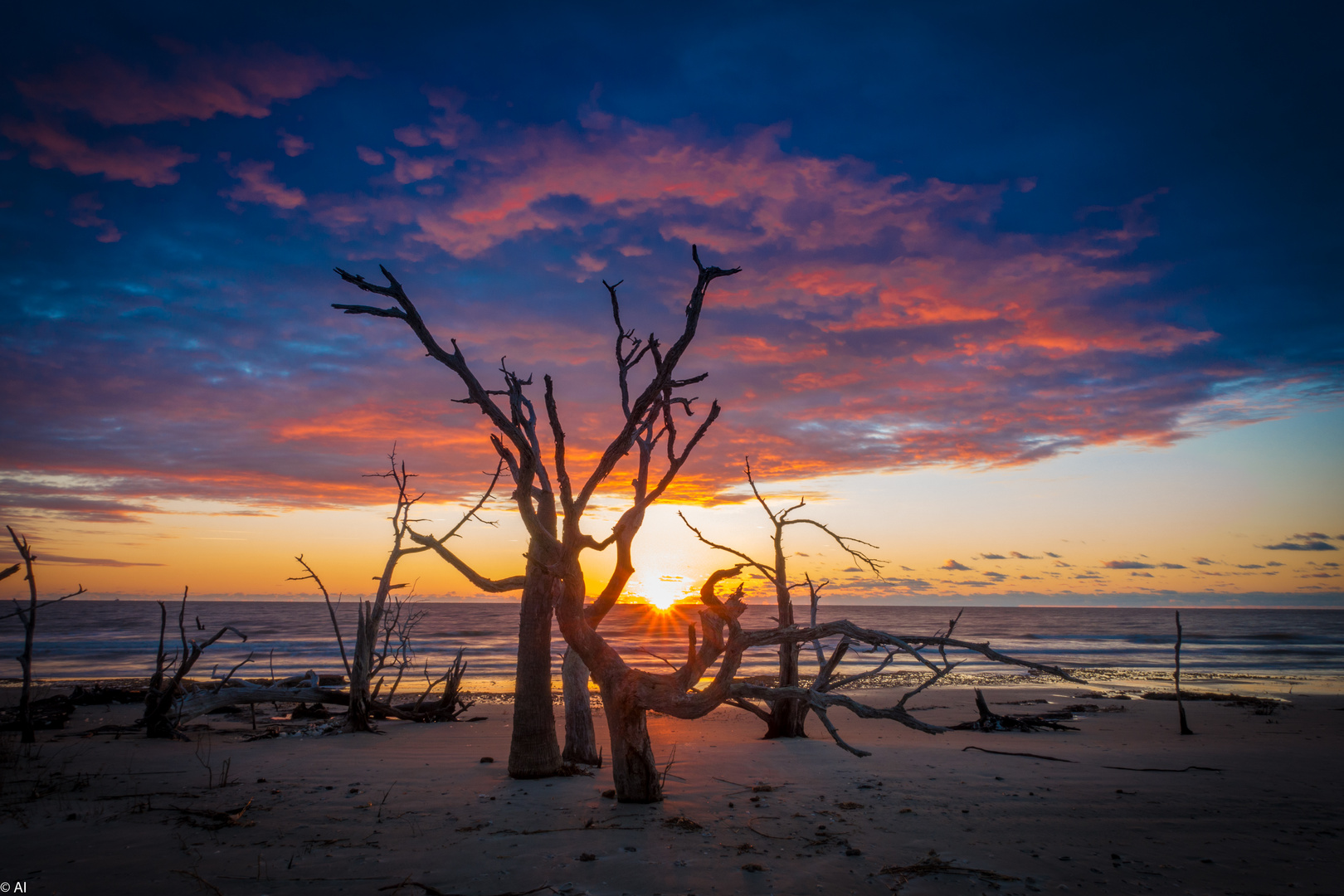 Sunrise Boneyard Beach Bulls Island South Carolina USA