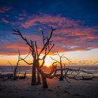 Sunrise Boneyard Beach Bulls Island South Carolina USA