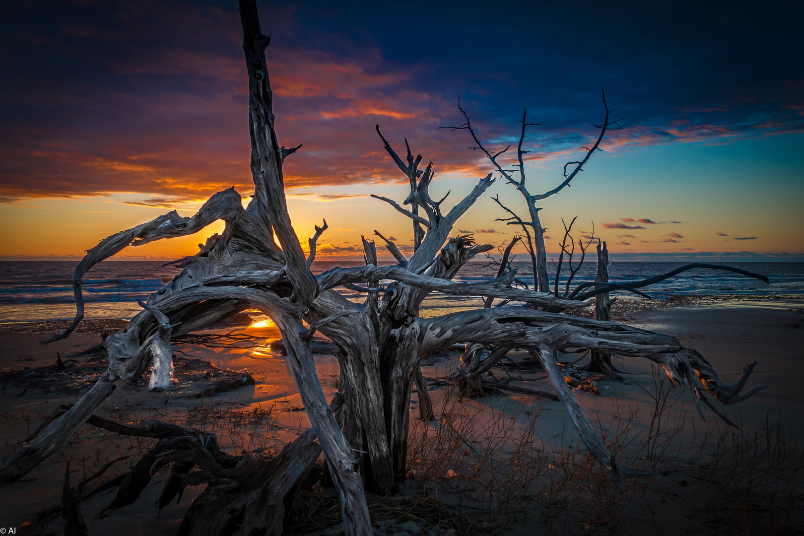 Sunrise Boneyard Beach Bulls Island South Carolina USA