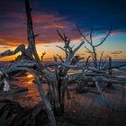 Sunrise Boneyard Beach Bulls Island South Carolina USA