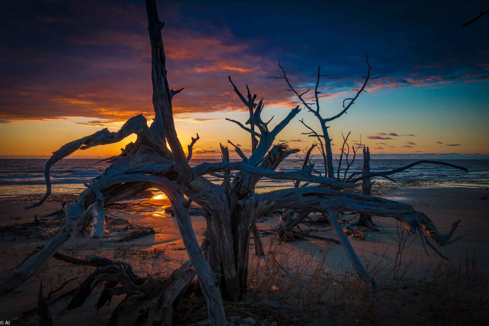 Sunrise Boneyard Beach Bulls Island South Carolina USA