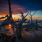 Sunrise Boneyard Beach Bulls Island South Carolina USA