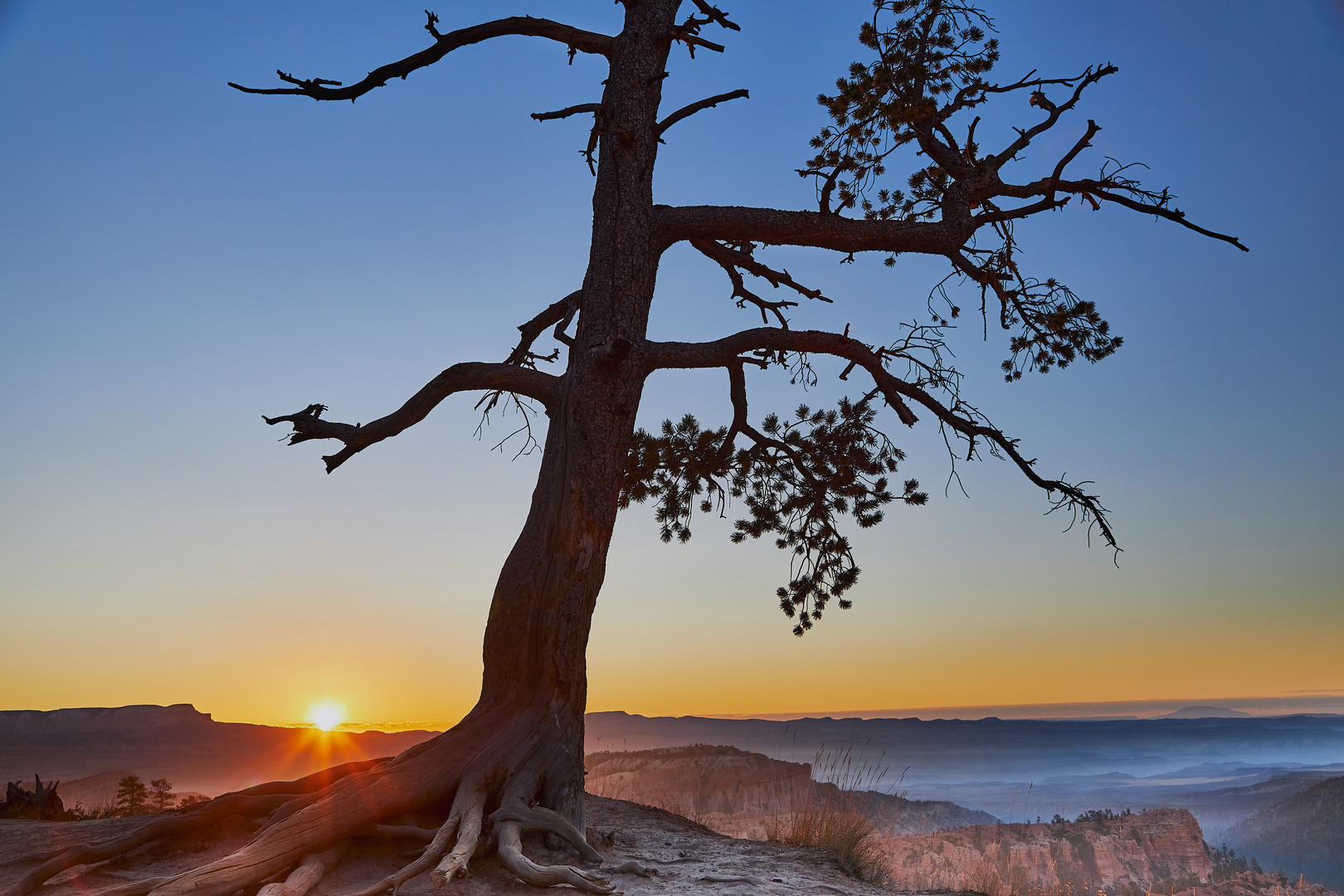 Sunrise, Bryce Canyon