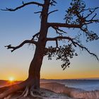 Sunrise, Bryce Canyon