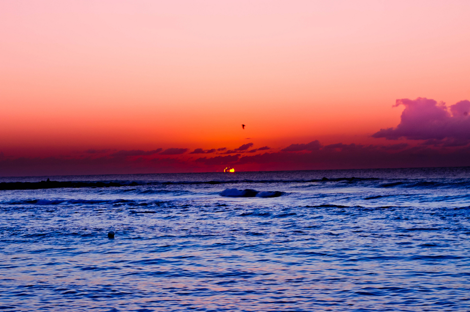 Sunrise Cancun