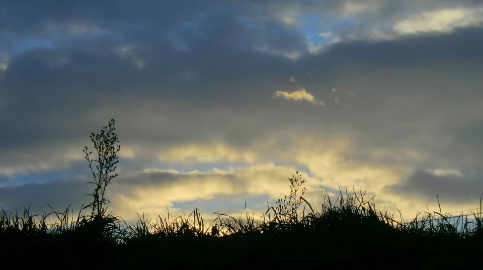 Sunrise Clouds