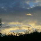 Sunrise Clouds