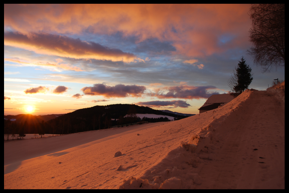 sunrise von Cornelia Tauchner 