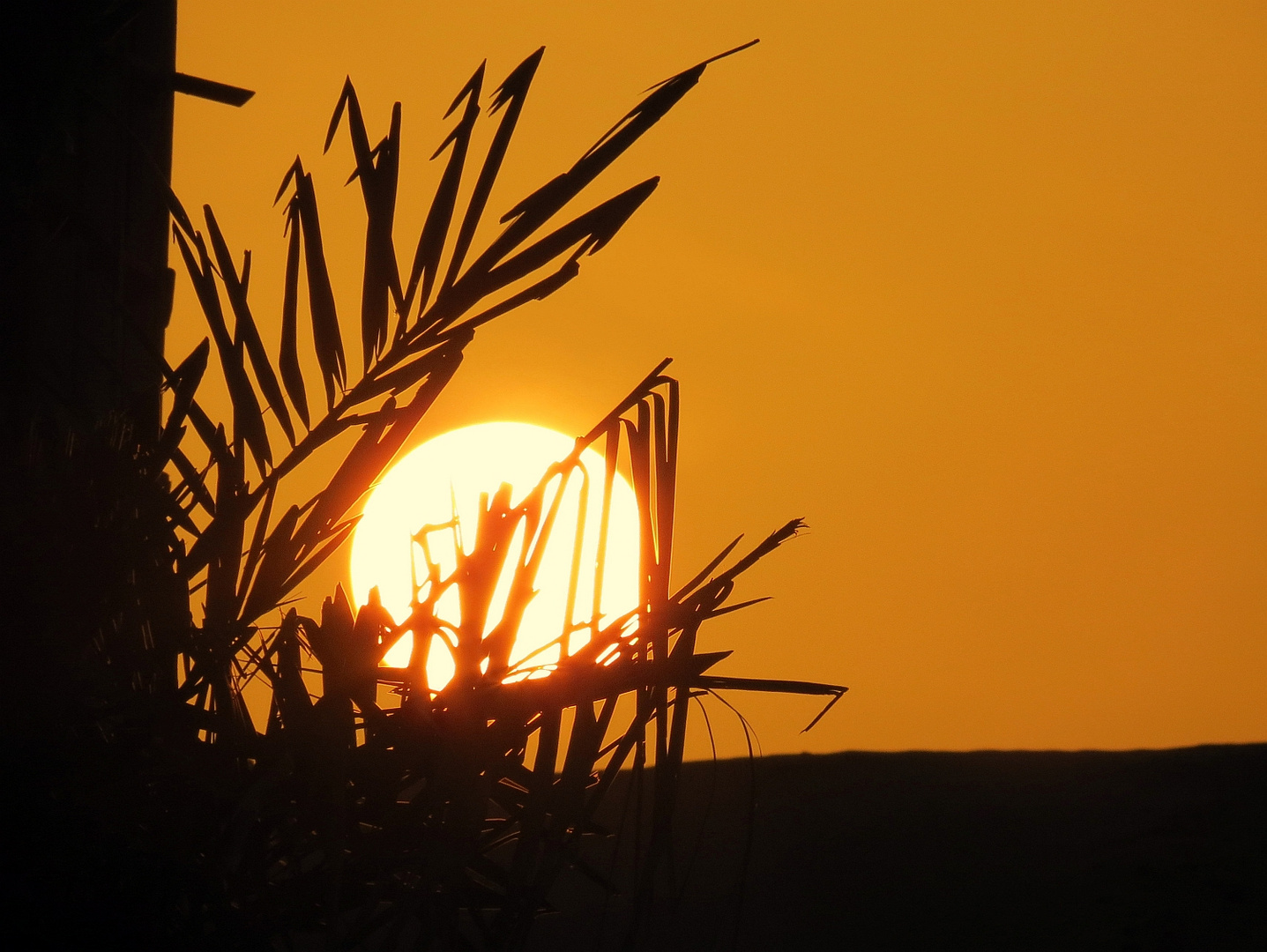 Sunrise Dubai