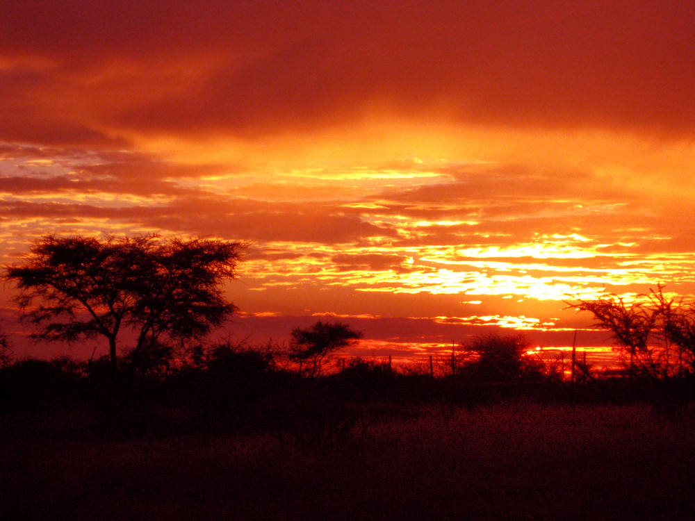 Sunrise @ Etosha