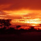 Sunrise @ Etosha