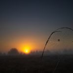 sunrise, fog, SPIDER WEB - GND8 -